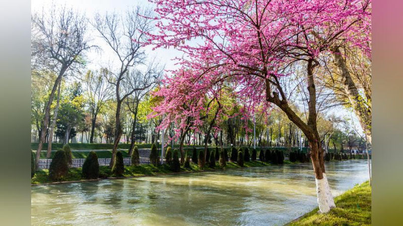 'O`zbekistonda aprel oyining oxirida yozga xos bo`lgan ob-havo kuzatildi'ning rasmi