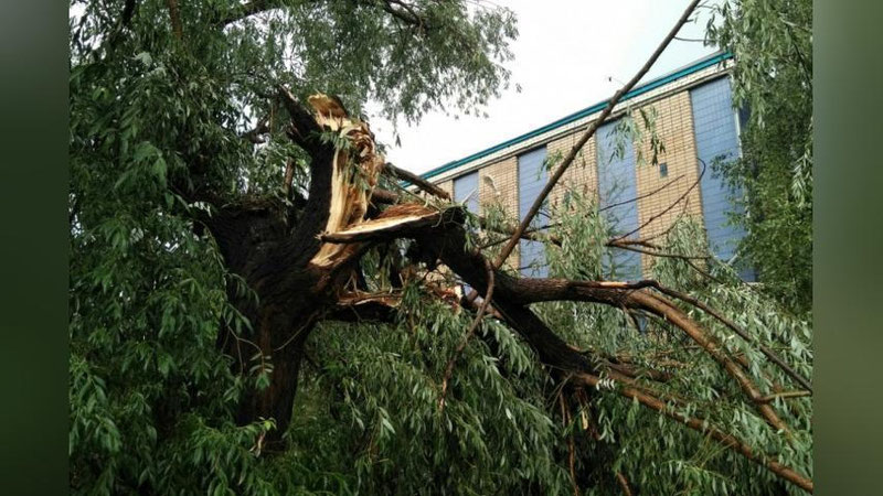 'Тошкентда кучли шамол бўлишидан огоҳлантирилди'ning rasmi