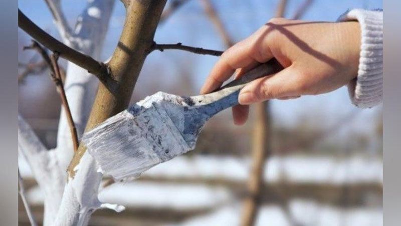 'O`zbekistonda 11 mart kuni umumxalq xayriya hashari o`tkaziladi'ning rasmi