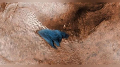 'NASA yo`ldoshi Marsdagi moviy qumtepaliklarni suratga oldi (Video)'ning rasmi