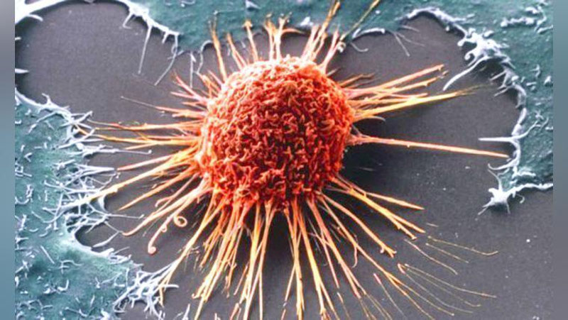 'ANTIBIOTIK YoRDAMIDA SARATONNI ENGAMIZ'ning rasmi