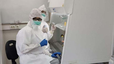 'Sanitariya-epidemiologik osoyishtalik va jamoat salomatligi xizmati tashkil etildi'ning rasmi