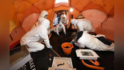 '2 ярим минг йил аввал яшаган инсон суяклари топилди'ning rasmi