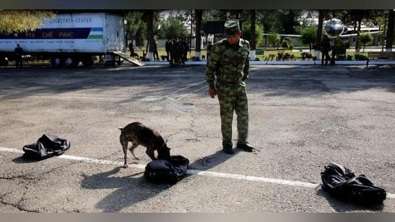 'Sergelida «xizmat iti» adashmadi'ning rasmi