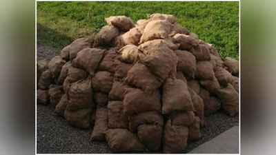 '“Bo`sh” vagondan 8,5 tonna kartoshka chiqdi?!'ning rasmi