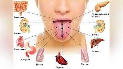 '  Madad-shifo: TIL YuZASINING OQARIB QOLIShI...'ning rasmi