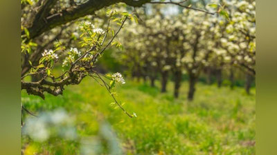 'Bugun O`zbekistonda havo + 30° gacha isiydi'ning rasmi