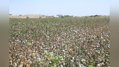 Изрображение 'В Узбекистане до +28: погода на 2 октября'