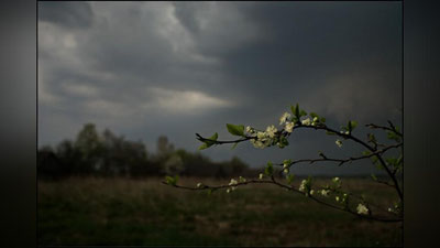 '17 апрель куни ёмғир ёғиб, момақалдироқ бўлади'ning rasmi