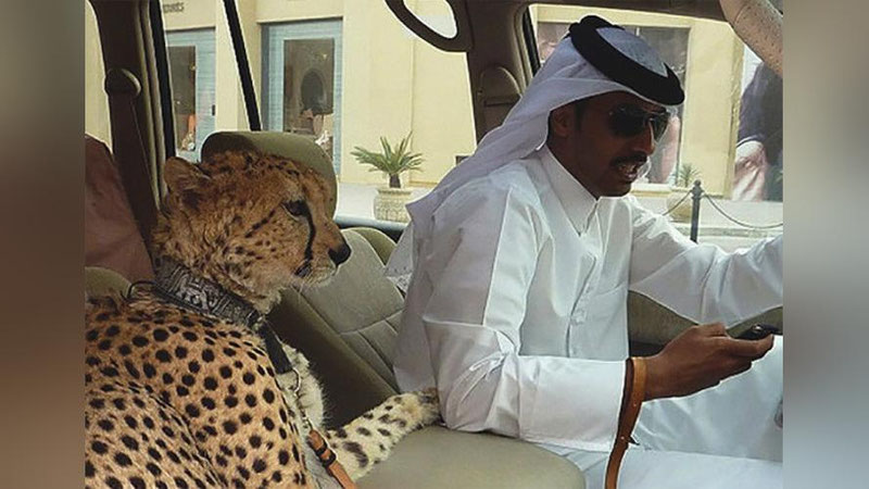 '​Dubay haqida siz bilmagan 11 ta ajoyib fakt'ning rasmi