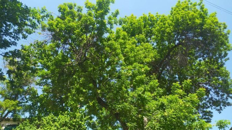 Изрображение 'Какая погода нас ждет в понедельник?'