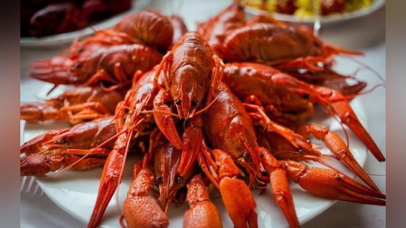 'Tailand delegasiyasi Qoraqalpog`istonda artemiya eksporti hamda qisqichbaqa importi bilan bog`liq masalalarni muhokama etdi'ning rasmi