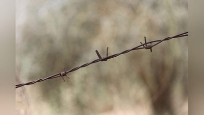 'Тўрткўл туманида 24 яшар қизни зўрлашди 'ning rasmi