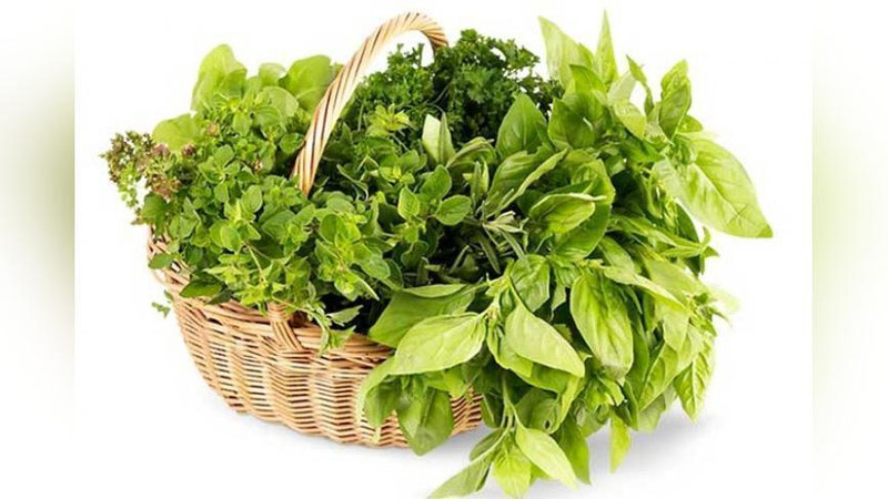 '​SOG`LIQ UChUN FOYDALI 7 KO`KAT'ning rasmi