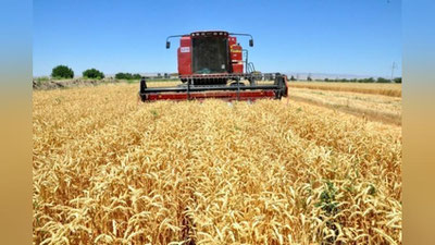 'Президент ғалла етиштириш ва сотишга оид муҳим қарорни имзолади'ning rasmi