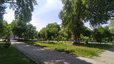 Изрображение 'В Ташкенте воздух прогреется до +31: погода на 13 мая'