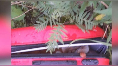 'Тошкент вилоятида чамадондан аёл киши мурдаси топилди'ning rasmi