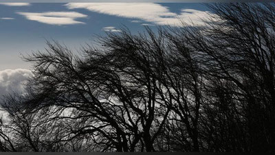 'Shamol tezligi kuchayadi: bugun kutilayotgan ob-havo ma`lumoti e`lon qilindi'ning rasmi