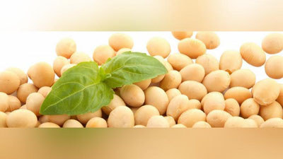 'O`zbekistonda yana bitta uyushma tashkil etildi'ning rasmi