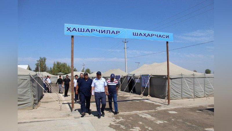 Изрображение 'Экспериментальный палаточный городок открыли для сборщиков хлопка в Сырдарье'