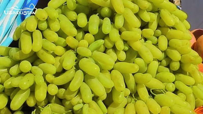 Изрображение 'Праздник винограда пройдет в Паркентском районе'