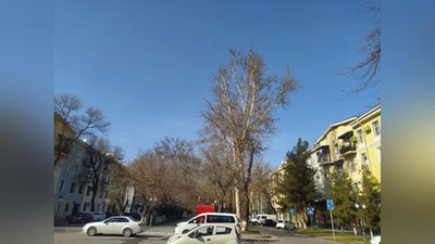 Изрображение 'В Ташкенте сегодня будет +14: погода на 8 февраля'