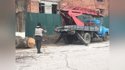 Изрображение 'ВЛАСТИ ОТРЕАГИРОВАЛИ НА СПИЛ ДЕРЕВЬЕВ У АЛАЙСКОГО РЫНКА'