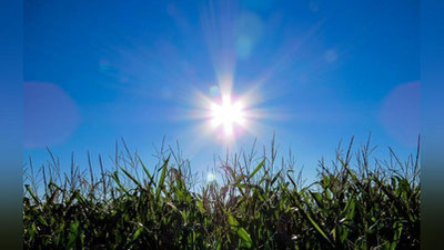 'Ertaga 15 iyun kuni havo harorati ko`tariladi'ning rasmi