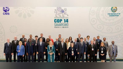 Изрображение 'В Самарканде обсуждают вопросы сохранения мигрирующих видов диких животных'