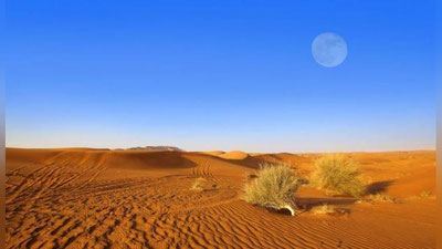 'Sahroga aylanayotgan Qorako`l'ning rasmi