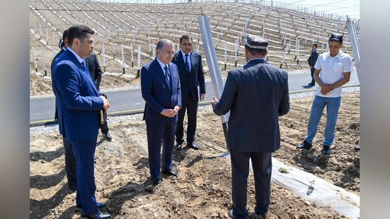 'Президент Фарғонага ташрифини Олтиариқ туманидан бошлади (фото)'ning rasmi