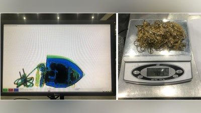 Изрображение 'В багаже у пассажира, прибывшего в аэропорт Ташкента, нашли "золотой" утюг'