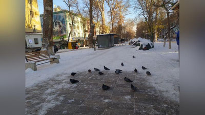 Изрображение 'В Узбекистане днем будет плюсовая температура'