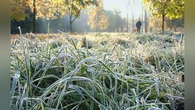 'Oktyabr oyi haroratning pasayishi bilan boshlanadi — "O`zgidromet"'ning rasmi