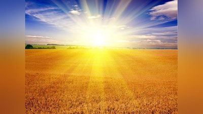 'Бугун ҳарорат 42, 45 даражагача кўтарилиши мумкин — Ўзгидромет'ning rasmi