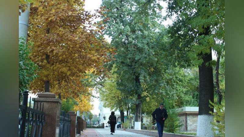 'Ertaga O`zbekistonda qanday ob havo kuzatiladi? "O`zgidromet" ma`lumot berdi'ning rasmi