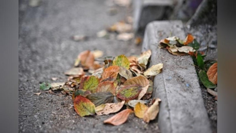 '​13 SENTYaBR KUNI O`ZBEKISTONDA QANDAY OB-HAVO KUZATILADI?'ning rasmi