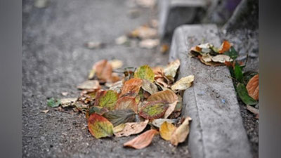 '​13 SENTYaBR KUNI O`ZBEKISTONDA QANDAY OB-HAVO KUZATILADI?'ning rasmi