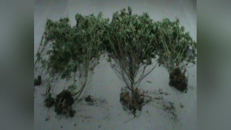 'OG`U ATROFIDA BIRLAShGAN ZANJIR'ning rasmi