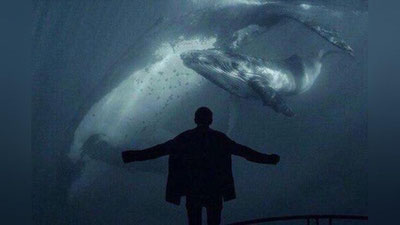 '​ “Ko`k kit” o`yini qachon boshlangan? O`zbekistonlik o`smirlar undan qanday himoya qilinyapti?'ning rasmi