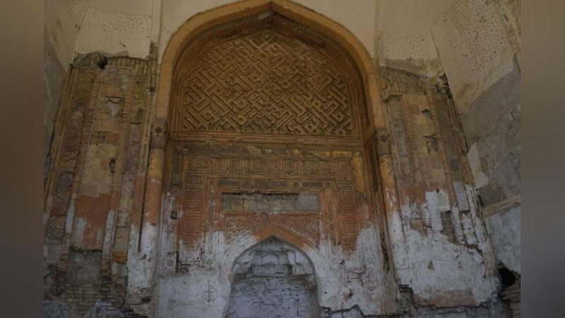 'Holi zabun zabonsiz obidalar kundan-kunga tutday to`kilmoqda (foto)'ning rasmi