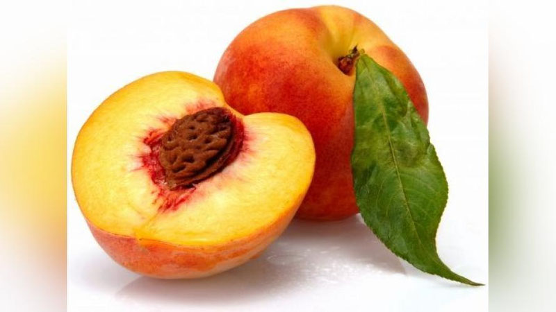 'O`zbekistondan Rossiyaga yuborilgan mevalarda kasallik aniqlangani ma`lum qilindi'ning rasmi