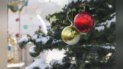 'Toshkentda yangi yil archalari qaerlarga o`rnatiladi?'ning rasmi