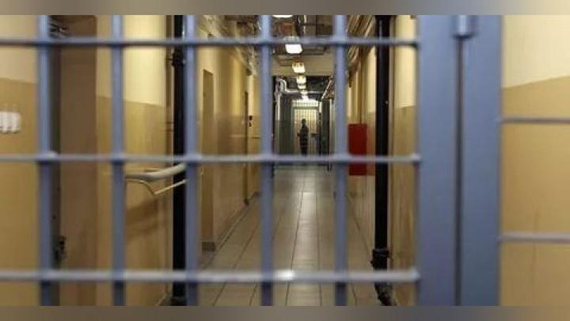 'Jizzaxda soxta Green Card tayyorlab, 103 kishidan 2,5 mlrd. so`mni yig`ib olgan shaxslar qamaldi'ning rasmi