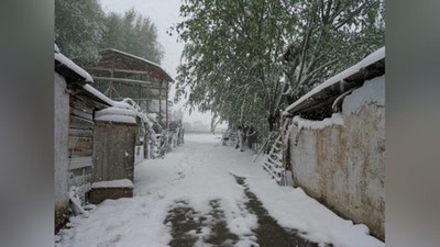 'O`zbekistonning ikki hududida ikki kishi sovuqdan halok bo`ldi'ning rasmi