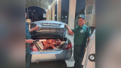 'Qarshi — Toshkent yo`nalishida "Lasetti"dan kelib chiqishi noma`lum 118 kg. go`sht aniqlandi'ning rasmi