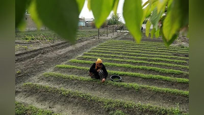 'Erlarni ikkilamchi ijaraga berish tartibi belgilanmoqda'ning rasmi