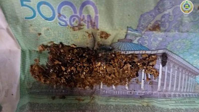 '"Keles"da banknotaga giyoh yashirgan shaxs qo`lga olindi'ning rasmi