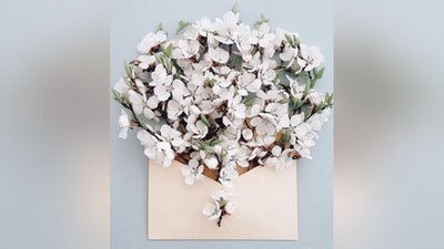 '«Баҳор биз томонларга ҳам мўраласин»'ning rasmi