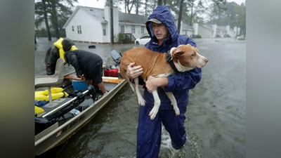 'Shimoliy Karolinadagi suv toshqini tobora kuchaymoqda (Video)'ning rasmi